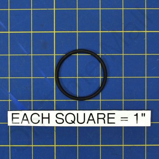 Armstrong B9617 B9617 O Ring For Tank Drain Adpt