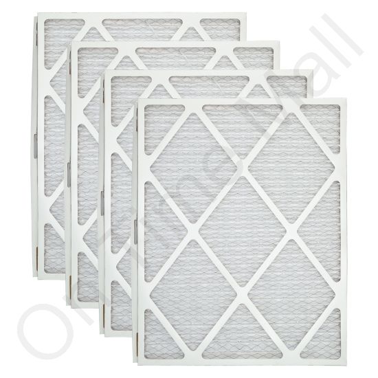 Trane BAYFTAH26P Filter Media