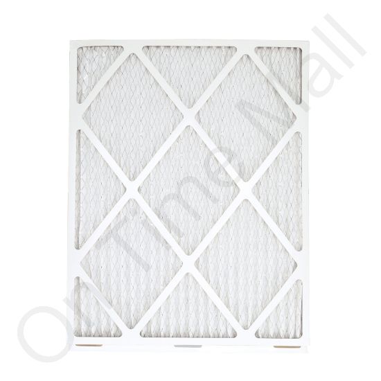 Trane BAYFTFR21P Filter Media